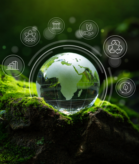 Sustainability